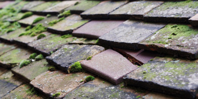 Carreglefn roof repair costs